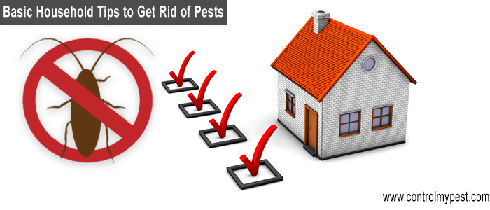 how to control pest in your home