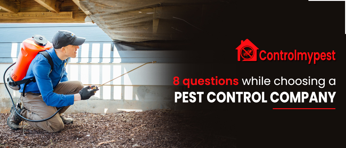 questions while choosing a pest control company, factors affecting pest control, choose pest control company